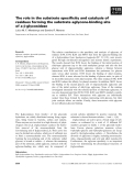 Báo cáo khoa học: The role in the substrate speciﬁcity and catalysis of residues forming the substrate aglycone-binding site of a b-glycosidase