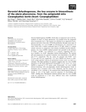 Báo cáo khoa học: Geraniol dehydrogenase, the key enzyme in biosynthesis of the alarm pheromone, from the astigmatid mite Carpoglyphus lactis (Acari: Carpoglyphidae)
