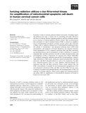 Báo cáo khoa học: Ionizing radiation utilizes c-Jun N-terminal kinase for ampliﬁcation of mitochondrial apoptotic cell death in human cervical cancer cells