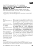 Báo cáo khoa học: Acetylcholinesterase from the invertebrate Ciona intestinalis is capable of assembling into asymmetric forms when co-expressed with vertebrate collagenic tail peptide