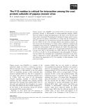 Báo cáo khoa học: The F13 residue is critical for interaction among the coat protein subunits of papaya mosaic virus