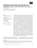 Báo cáo khoa học: Identiﬁcation and functional characterization of an aggregation domain in long myosin light chain kinase