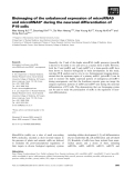 Báo cáo khoa học: Bioimaging of the unbalanced expression of microRNA9 and microRNA9* during the neuronal differentiation of P19 cells