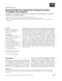 Báo cáo khoa học: Branched N-glycans regulate the biological functions of integrins and cadherins