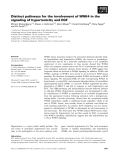 Báo cáo khoa học: Distinct pathways for the involvement of WNK4 in the signaling of hypertonicity and EGF