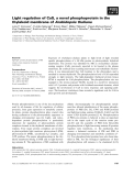 Báo cáo khoa học: Light regulation of CaS, a novel phosphoprotein in the thylakoid membrane of Arabidopsis thaliana