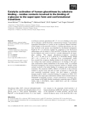 Báo cáo khoa học: Catalytic activation of human glucokinase by substrate binding – residue contacts involved in the binding of D-glucose to the super-open form and conformational transitions