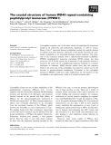 Báo cáo khoa học: The crystal structure of human WD40 repeat-containing peptidylprolyl isomerase (PPWD1)