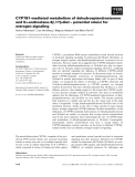 Báo cáo khoa học: CYP7B1-mediated metabolism of dehydroepiandrosterone and 5a-androstane-3b,17b-diol – potential role(s) for estrogen signaling