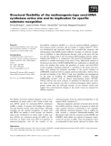 Báo cáo khoa học: Structural ﬂexibility of the methanogenic-type seryl-tRNA synthetase active site and its implication for speciﬁc substrate recognition