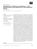 Báo cáo khoa học: Biosynthesis of D-arabinose in mycobacteria – a novel bacterial pathway with implications for antimycobacterial therapy