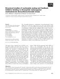 Báo cáo khoa học: Structural studies of nucleoside analog and feedback inhibitor binding to Drosophila melanogaster multisubstrate deoxyribonucleoside kinase