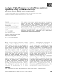 Báo cáo khoa học: Analysis of EphA4 receptor tyrosine kinase substrate speciﬁcity using peptide-based arrays