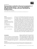 Báo cáo khoa học: Photosynthetic acclimation: Structural reorganisation of light harvesting antenna – role of redox-dependent phosphorylation of major and minor chlorophyll a/b binding proteins