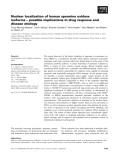 Báo cáo khoa học: Nuclear localization of human spermine oxidase isoforms – possible implications in drug response and disease etiology