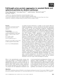 Báo cáo khoa học: Full-length prion protein aggregates to amyloid ﬁbrils and spherical particles by distinct pathways