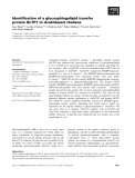 Báo cáo khoa học: Identiﬁcation of a glycosphingolipid transfer protein GLTP1 in Arabidopsis thaliana