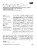 Báo cáo khoa học: Specificity evolution of the ADP-dependent sugar kinase family –in silico studies of the glucokinase⁄phosphofructokinase bifunctional enzyme fromMethanocaldococcus jannaschii