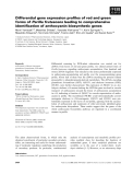 Báo cáo khoa học: Differential gene expression proﬁles of red and green forms of Perilla frutescens leading to comprehensive identiﬁcation of anthocyanin biosynthetic genes