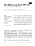 Báo cáo khoa học: FLIP and MAPK play crucial roles in the MLN51-mediated hyperproliferation of ﬁbroblast-like synoviocytes in the pathogenesis of rheumatoid arthritis