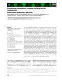 Báo cáo khoa học: Rhodanese–thioredoxin system and allyl sulfur compounds Implications in apoptosis induction