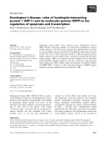 Báo cáo khoa học:  Huntington’s disease: roles of huntingtin-interacting protein 1 (HIP-1) and its molecular partner HIPPI in the regulation of apoptosis and transcription