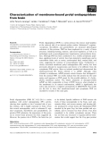 Báo cáo khoa học: Characterization of membrane-bound prolyl endopeptidase from brain