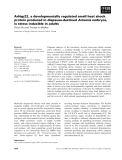 Báo cáo khoa học: ArHsp22, a developmentally regulated small heat shock protein produced in diapause-destined Artemia embryos, is stress inducible in adults