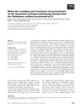 Báo cáo khoa học: Molecular modeling and functional characterization of the monomeric primase–polymerase domain from the Sulfolobus solfataricus plasmid pIT3