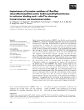 Báo cáo khoa học: Importance of tyrosine residues of Bacillus stearothermophilus serine hydroxymethyltransferase in cofactor binding and L-allo-Thr cleavage Crystal structure and biochemical studies