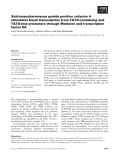 Báo cáo khoa học: Schizosaccharomyces pombe positive cofactor 4 stimulates basal transcription from TATA-containing and TATA-less promoters through Mediator and transcription factor IIA