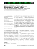 Báo cáo khoa học: Isolation and characterization of a novel glycosyltransferase that converts phloretin to phlorizin, a potent antioxidant in apple