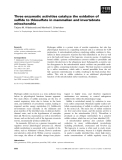 Báo cáo khoa học: Three enzymatic activities catalyze the oxidation of sulﬁde to thiosulfate in mammalian and invertebrate mitochondria