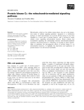 Báo cáo khoa học: Protein kinase Ce: the mitochondria-mediated signaling pathway