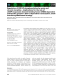 Báo cáo khoa học: Regulation of ERK1/2 phosphorylation by acute and chronic morphine – implications for the role of cAMP-responsive element binding factor (CREB)-dependent and Ets-like protein-1 (Elk-1)-dependent transcription; small interfering RNA-based strategy