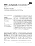 Báo cáo khoa học: PCSK9 is phosphorylated by a Golgi casein kinase-like kinase ex vivo and circulates as a phosphoprotein in humans