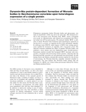 Báo cáo khoa học: Dynamin-like protein-dependent formation of Woronin bodies in Saccharomyces cerevisiae upon heterologous expression of a single protein