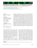 Báo cáo khoa học: Glutathione peroxidase family – an evolutionary overview 