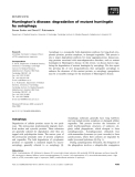 Báo cáo khoa học: Huntington’s disease: degradation of mutant huntingtin by autophagy