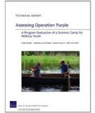 Assessing Operation Purple