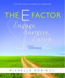 The E-Factor 