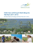 Chiến lược và Kế hoạch Hành động cho Việt Nam (2011-2013)