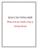 Báo cáo đề tài Phân tích tài chính công ty chứng khoán