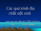 Các quá trình địa chất nội sinh