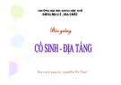 Bài giảng Cổ sinh - Địa tầng - ĐH Khoa học Huế