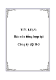 TIỂU LUẬN:  Báo cáo tổng hợp tại Công ty dệt 8-3