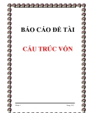 Đề tài báo cáo Cấu trúc vốn