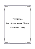 TIỂU LUẬN:  Báo cáo tổng hợp tại Công ty TNHH Đức Cường