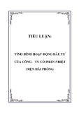 TIỂU LUẬN:  TÌNH HÌNH HOẠT ĐỘNG ĐẦU TƯ CỦA CÔNG TY CỔ PHẦN NHIỆT ĐIỆN HẢI PHÒNG