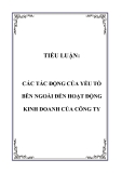 TIỂU LUẬN:  CÁC TÁC ĐỘNG CỦA YẾU TỐ BÊN NGOÀI ĐẾN HOẠT ĐỘNG KINH DOANH CỦA CÔNG TY